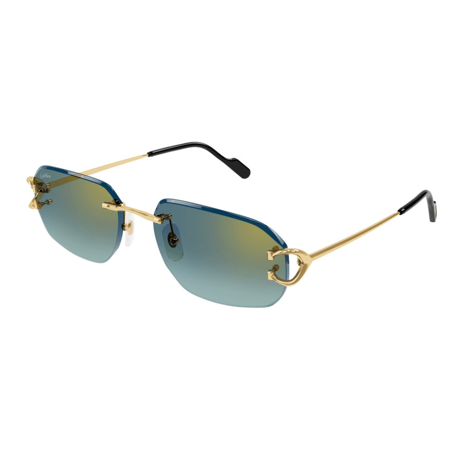 Cartier CT0468s 003