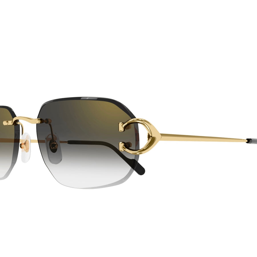Cartier CT0468s 001