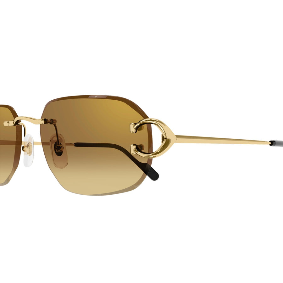 Cartier CT0468s 004