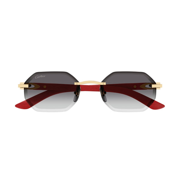 Cartier CT0439s 003 Holz / Wood