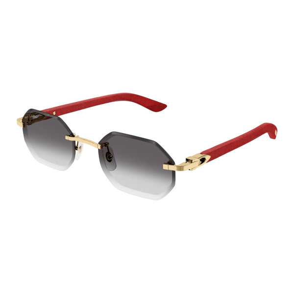 Cartier CT0439s 003 Holz / Wood