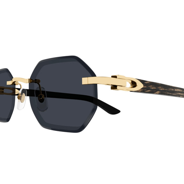 Cartier CT0439s 001 Blackbuff