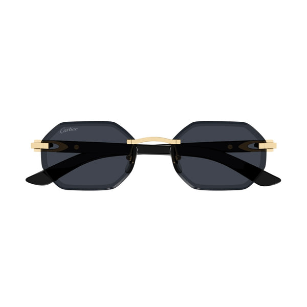 Cartier CT0439s 001 Blackbuff