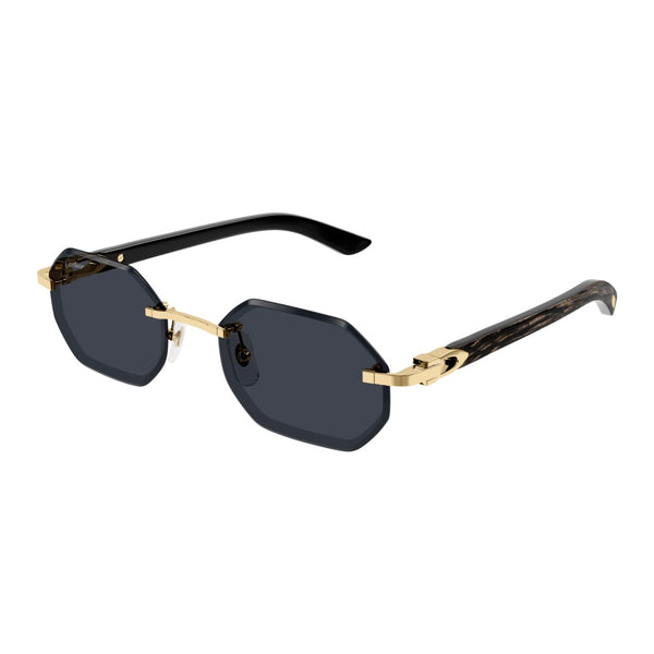 Cartier CT0439s 001 Blackbuff