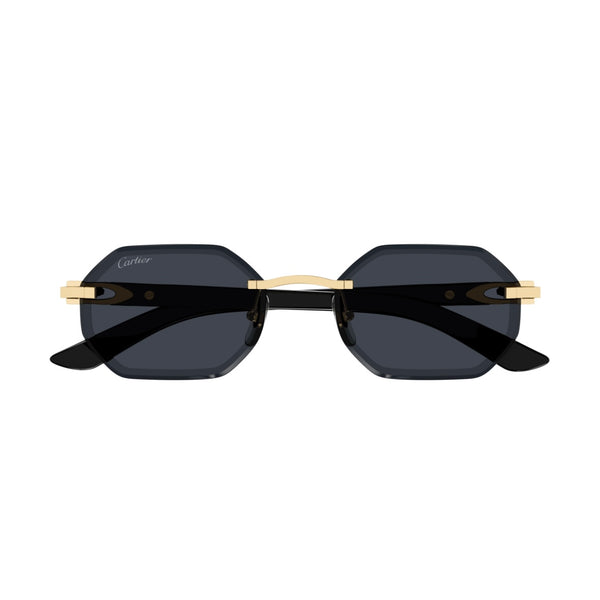 Cartier CT0439s 002 Whitebuff