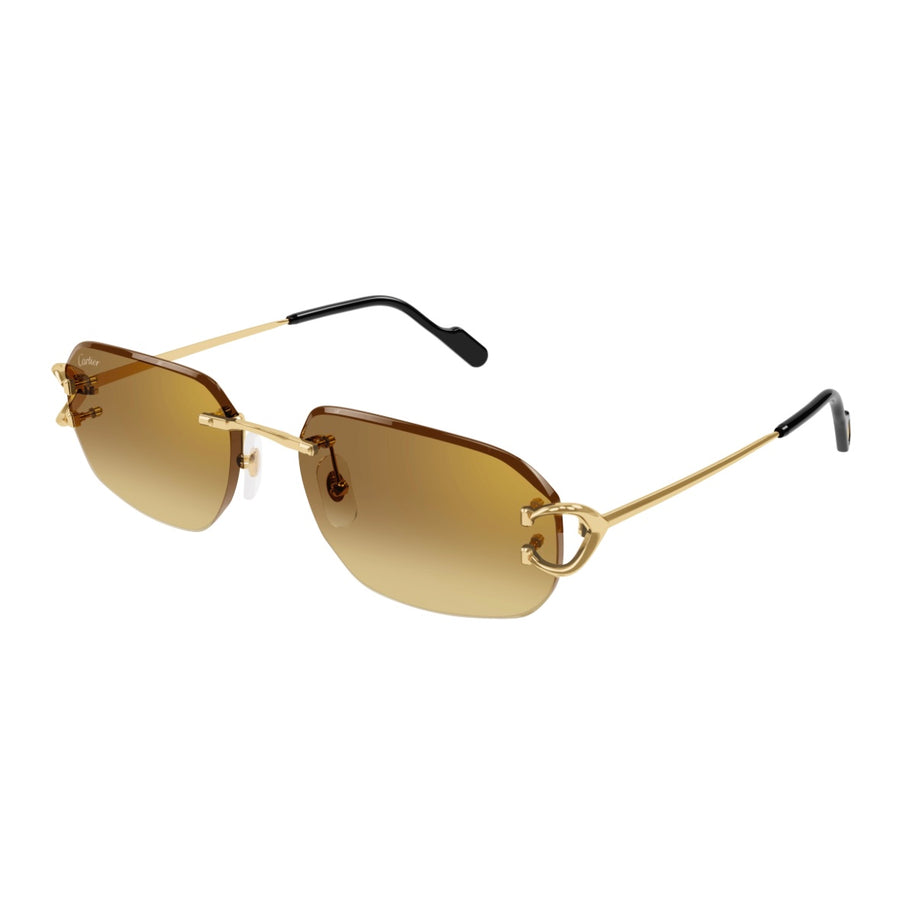Cartier CT0468s 004