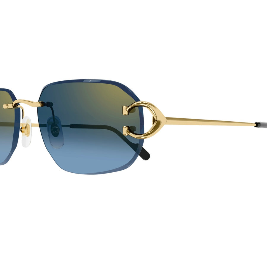 Cartier CT0468s 002