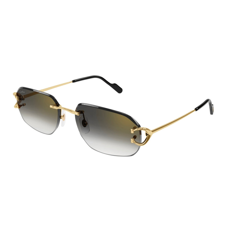 Cartier CT0468s 001