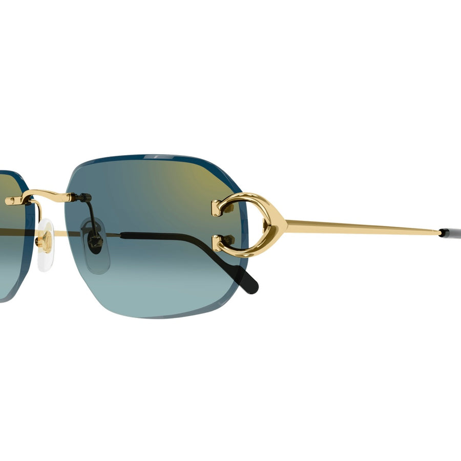 Cartier CT0468s 003
