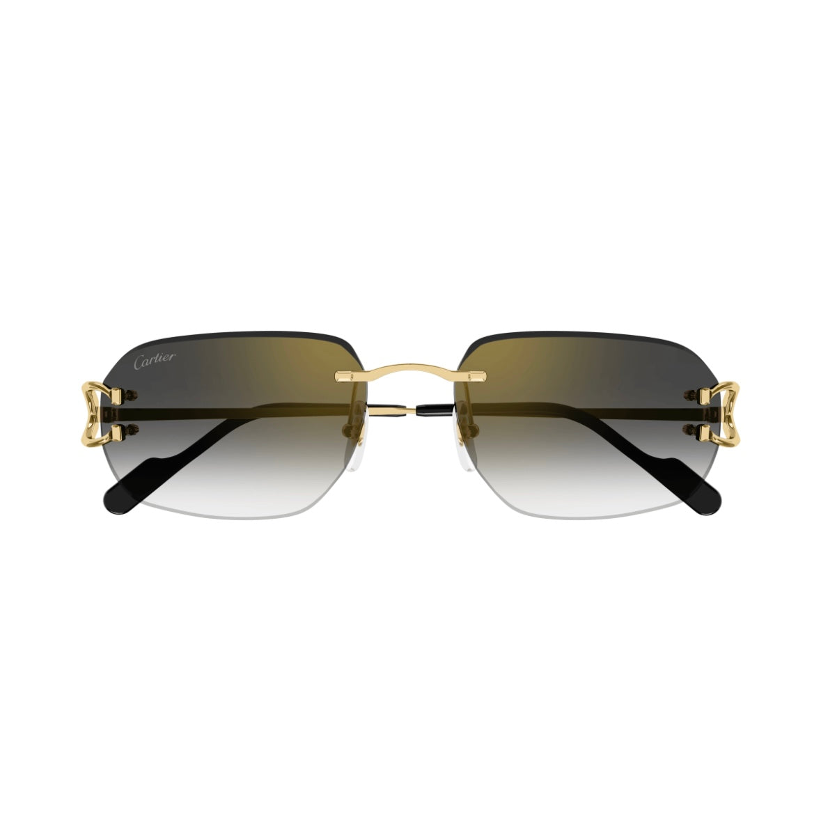 Cartier CT0468s 001
