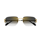Cartier CT0468s 001