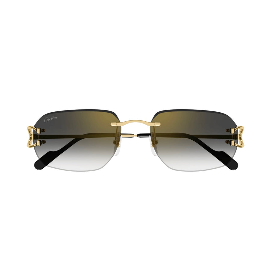 Cartier CT0468s 001