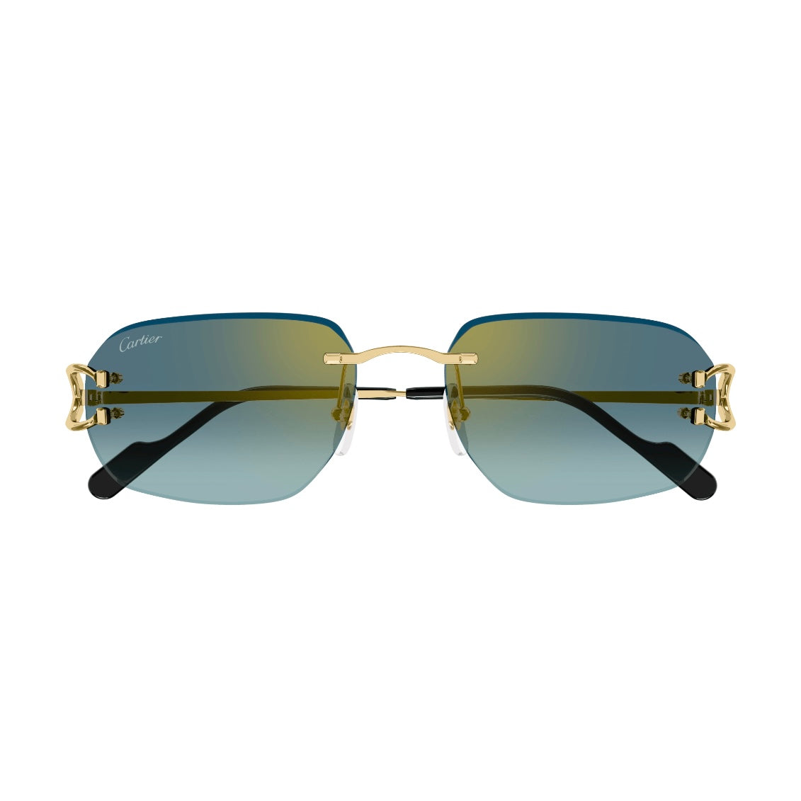 Cartier CT0468s 003