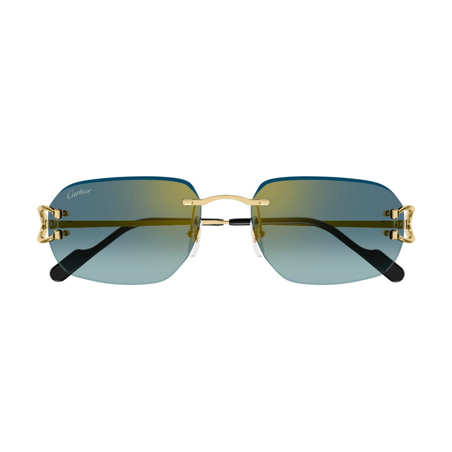 Cartier CT0468s 003