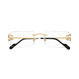 Cartier CT0488o 001 Big C new