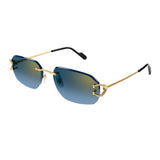 Cartier CT0468s 002