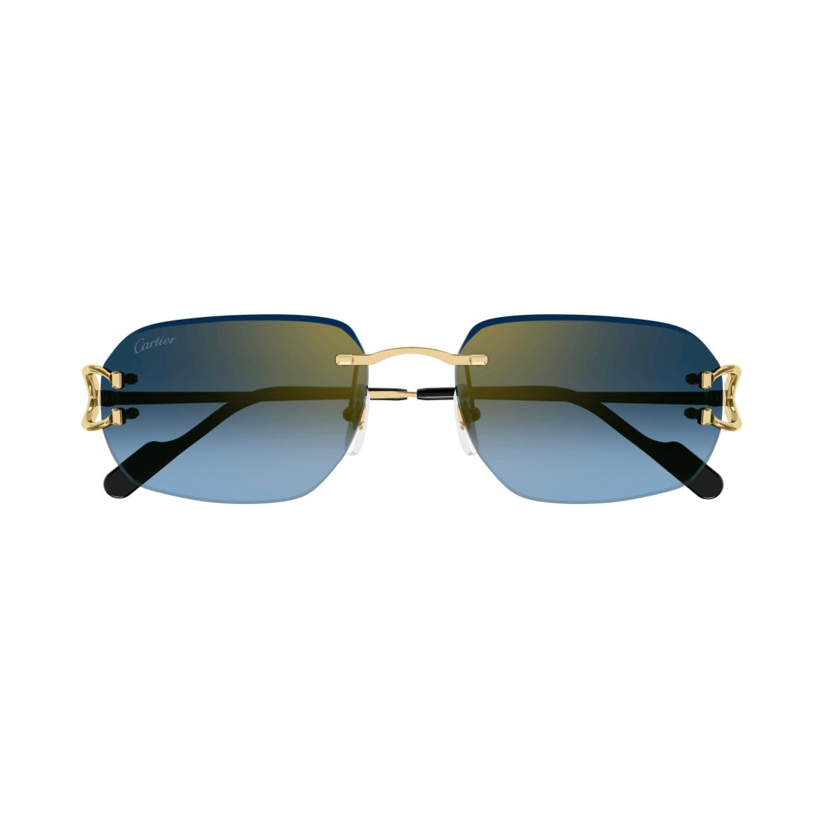 Cartier CT0468s 002