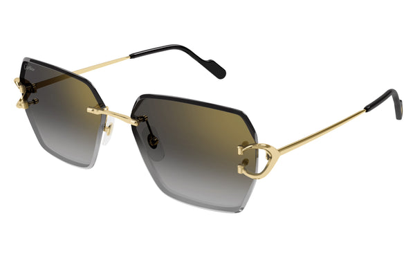 Cartier CT0466s