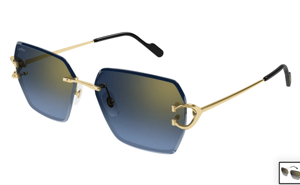Cartier CT0466s