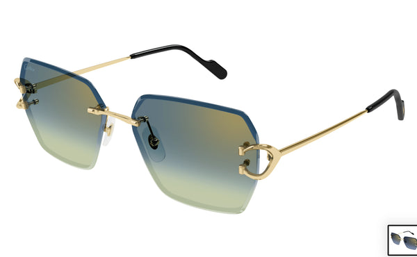 Cartier CT0466s