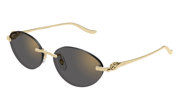 Cartier CT0504s