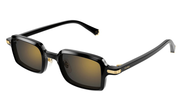Cartier CT0539s