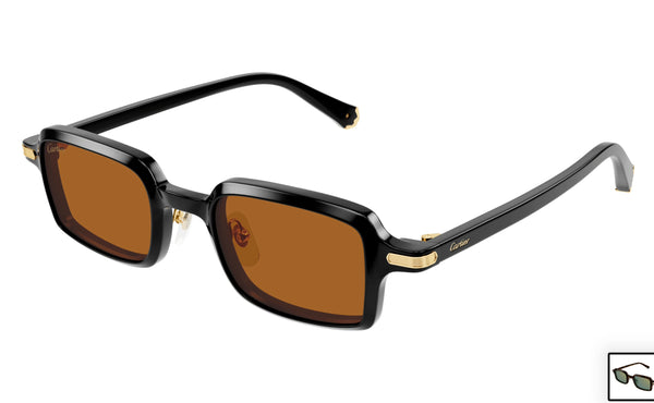 Cartier CT0539s