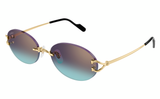 Cartier CT0551S