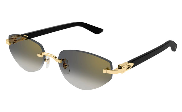 Cartier CT0580s