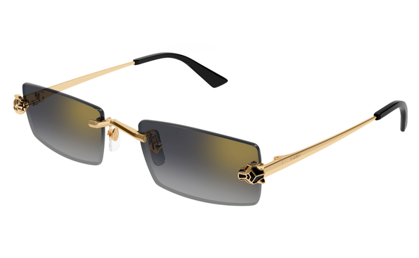 Cartier CT0598s