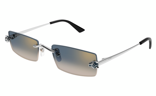 Cartier CT0598s