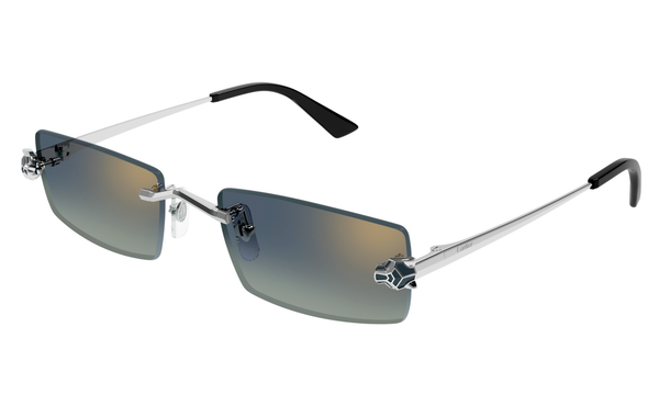 Cartier CT0598s