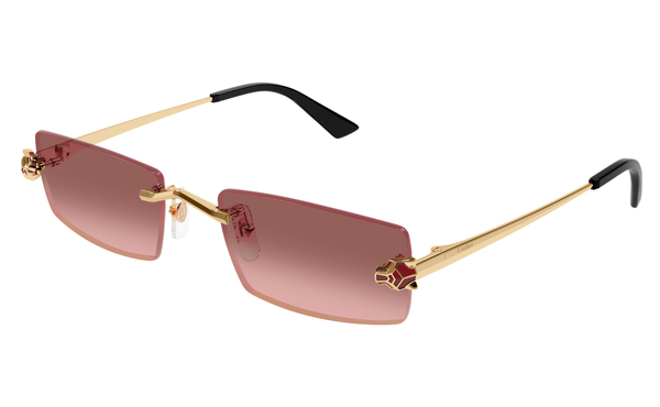 Cartier CT0598s