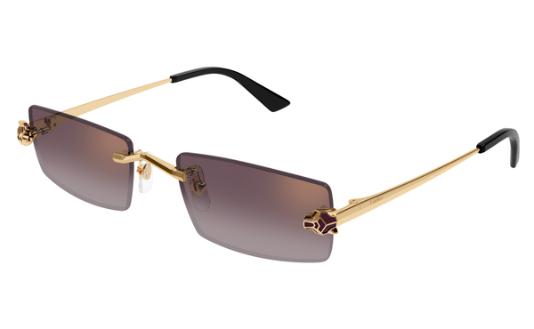 Cartier CT0598s