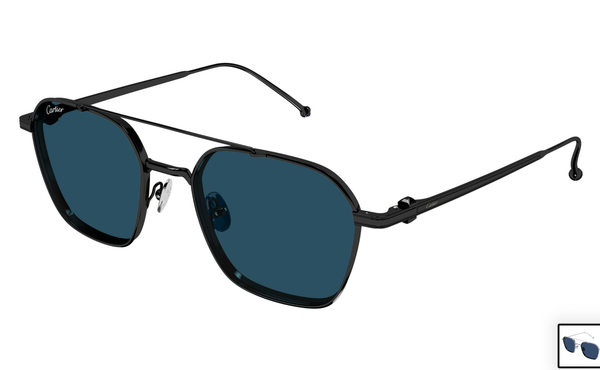 Cartier CT0618s
