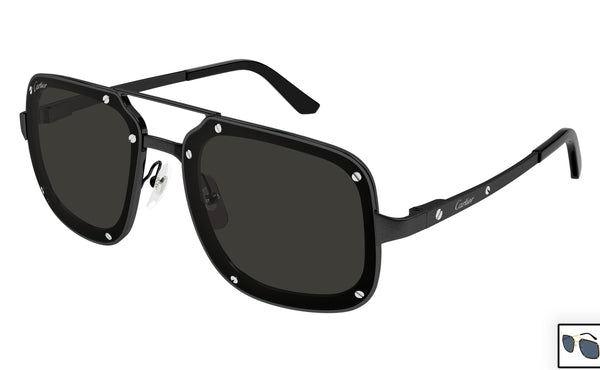Cartier CT0194s