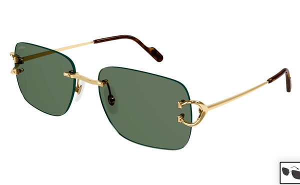 Cartier CT0330s