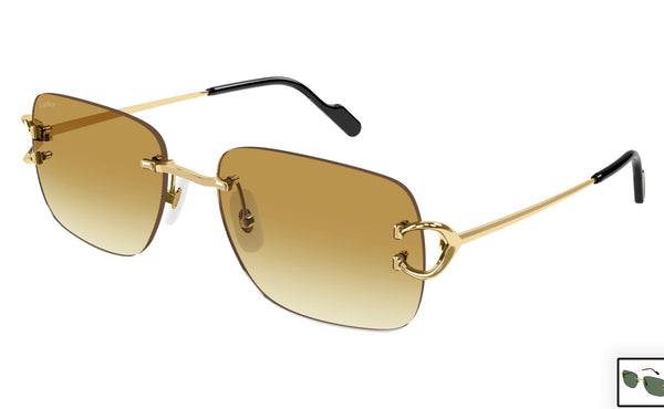 Cartier CT0330s