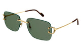 Cartier CT0330s
