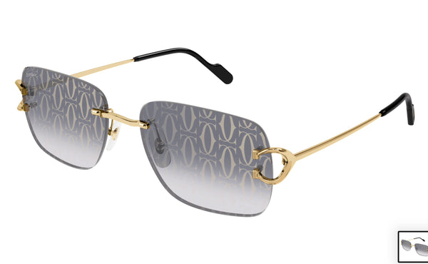 Cartier CT0330s