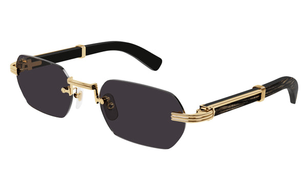 Cartier CT0362s