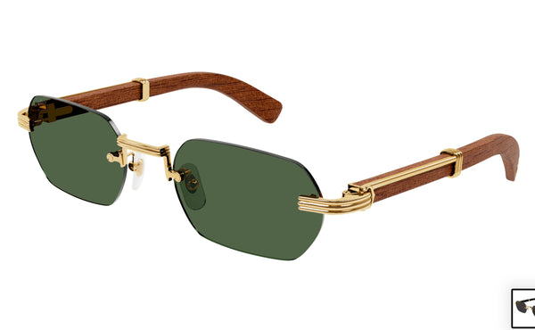 Cartier CT0362s