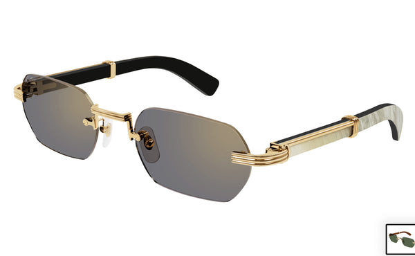 Cartier CT0362s