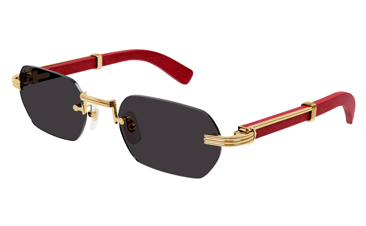 Cartier CT0362s