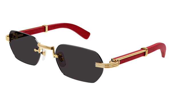 Cartier CT0362s