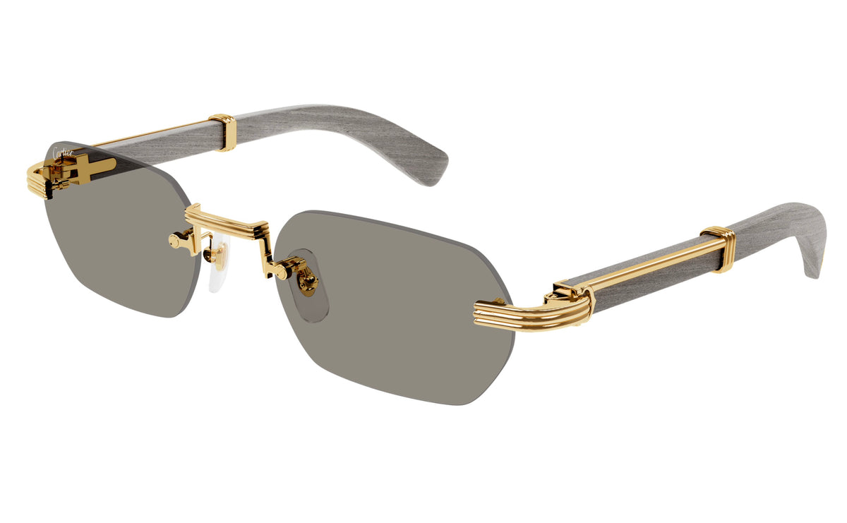 Cartier CT0362s