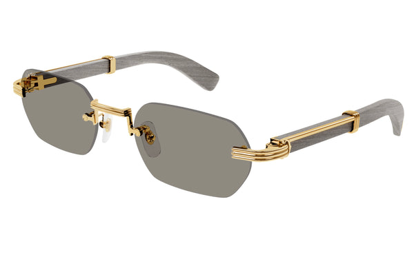 Cartier CT0362s
