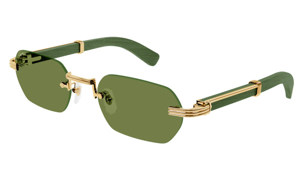 Cartier CT0362s