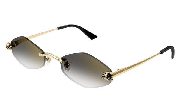 Cartier CT0433s