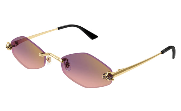 Cartier CT0433s